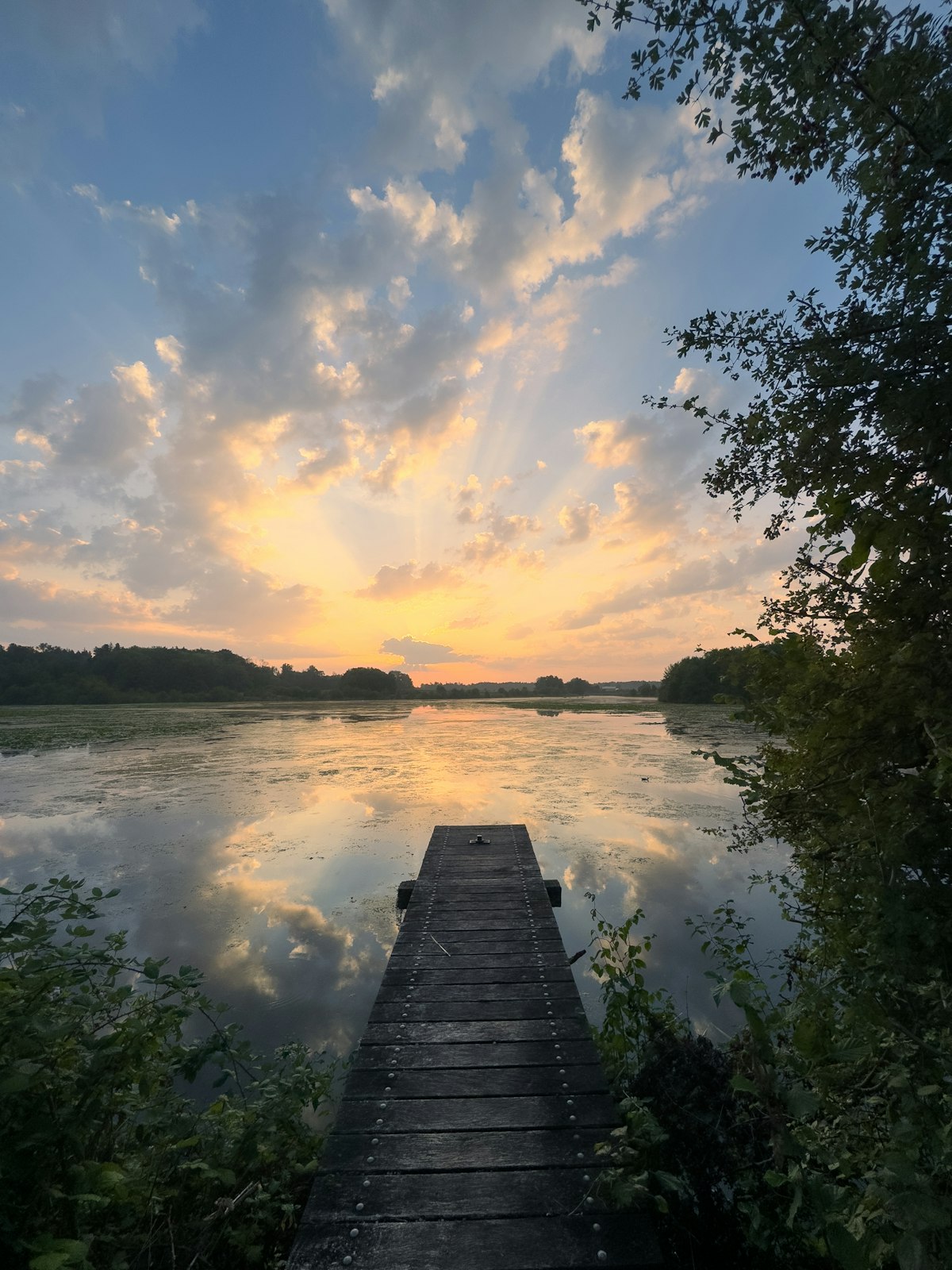 The thrill of the catch