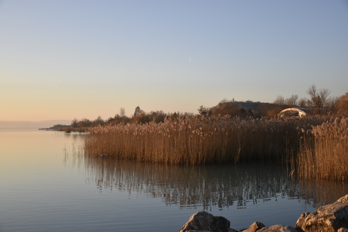 Fishing at its finest